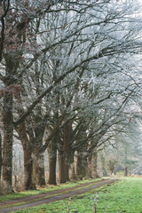 Obraz premium Celle, 29.01.2026