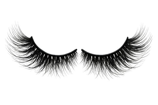 Black false eyelashes providing volume and length beauty accessory