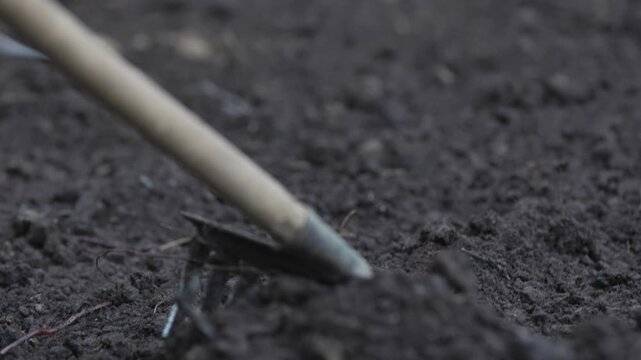 Garden rake teeth loosen earth preparing ground for planting. Metal rake teeth working soil shows dynamic gardening motion closeup