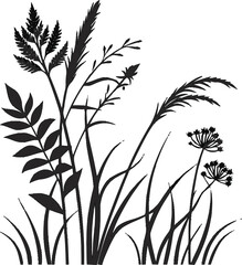 Obraz premium Black and white meadow grass and wild plants silhouette