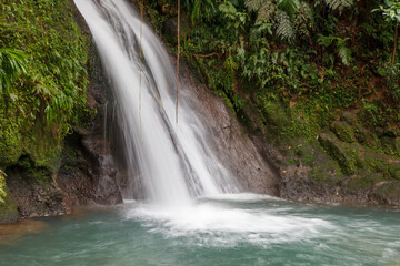 Fototapeta premium waterfall in the forest