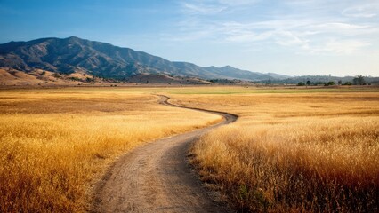 Fototapeta premium Winding dirt road through grassy field to hills