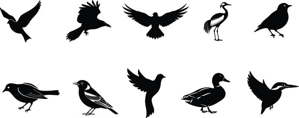 Silhouette set of black and white various Birds