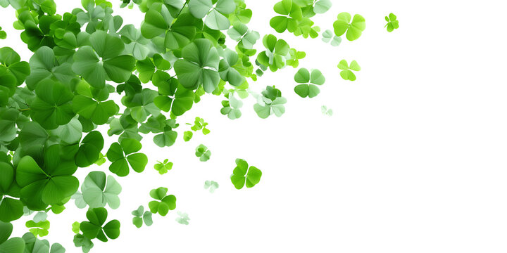 Flying shamrocks, green clovers leaves border isolated on white or transparent panoramic background. St Patrick's day celebration web banner