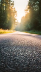 Golden hour illuminates a tranquil country road embraced by lush green forest landscape photography