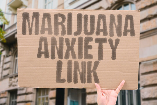 "Marijuana Anxiety Link" Cannabis worsens nervous disorders. ANXIETY. MENTAL. HEALTH. PANIC. DISORDER.