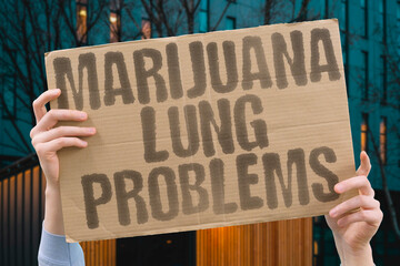 "Marijuana Lung Problems" Smoking cannabis damages lungs. LUNGS. RESPIRATORY. SMOKING. HEALTH. DAMAGE.