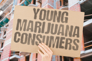 "Young Marijuana Consumers" Youth regularly use cannabis. YOUNG. CONSUMERS. USERS. CANNABIS. REGULAR.