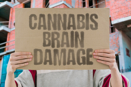 "Cannabis Brain Damage" Marijuana harms developing minds. BRAIN. DAMAGE. HARM. DEVELOPMENT. COGNITIVE.
