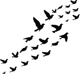 Flying Birds Motion Silhouettes &ndash; Dynamic Flock Vector Collection