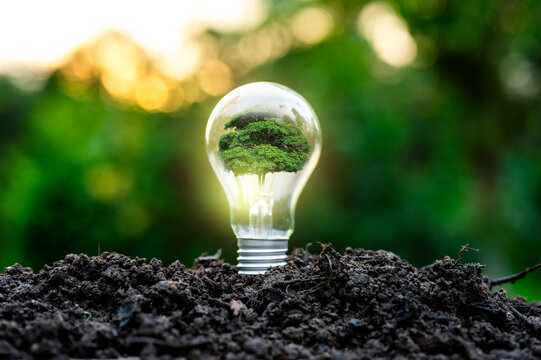Renewable energy concept Earth Day or environment protection Hands protect forests that grow on the ground and help save the world.
