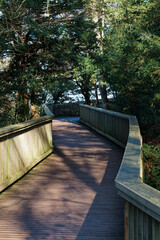 Fototapeta premium Wooden broad walk to Symonds Yat