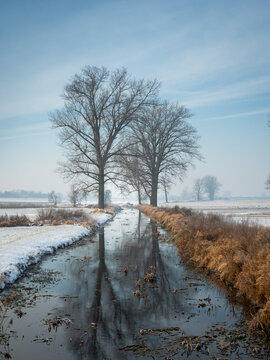 reflection of trees in the river water