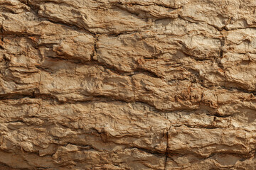 Background of textured tree bark with brown ridges