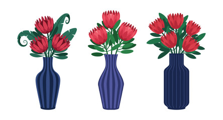 Obraz premium Set of vases with red protea flowers