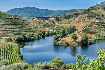 Fototapeta premium Lake And Vineyards In The Douro River Valley
