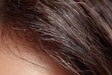 Human scalp with brown hair and hairline details