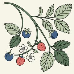 vector illustration of berries on a branch © Nusrat Jahan Nahar