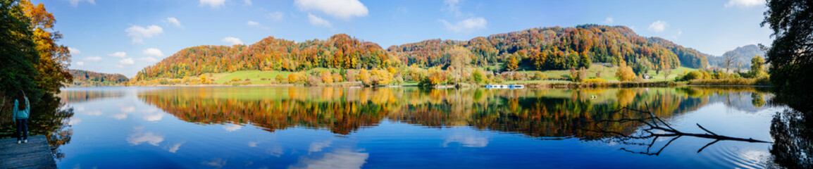 T&uuml;rlersee panoramic in Zurich