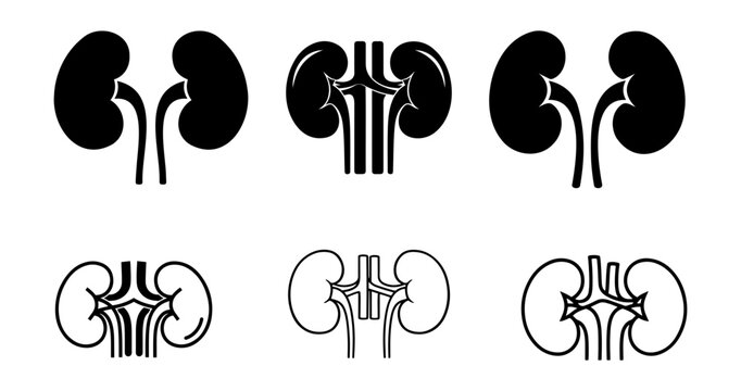 Set of black and white human kidney icons for medical and healthcare design projects.