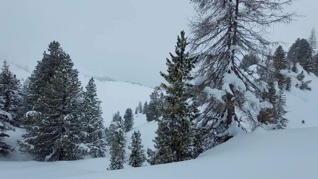 Magical view of snowy landscape with falling snow flakes. Winter fairy tale in the forest, snowy tree branches. Mountains already covered with snow. Alps, Kronplatz.