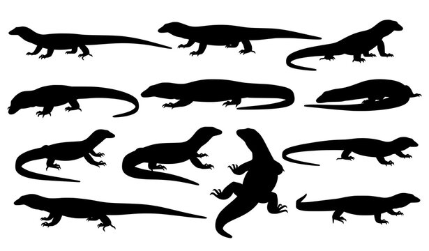 Monitor lizard silhouette vector set realistic reptile poses