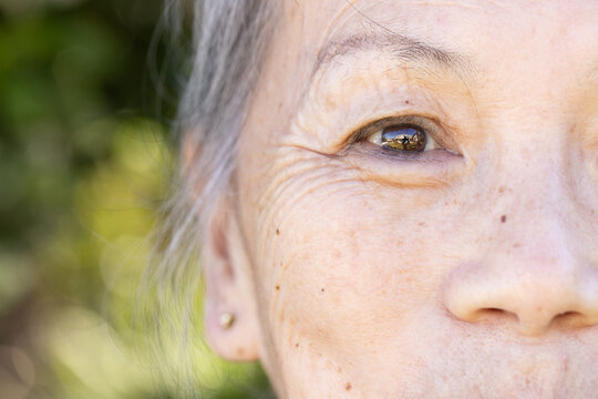 Senior woman's right eye is showing detailed iris reflection and skin texture in garden light