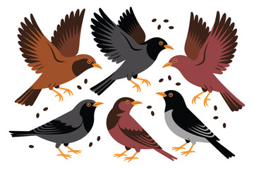 Fototapeta premium A group of colorful birds flying and standing on a white background