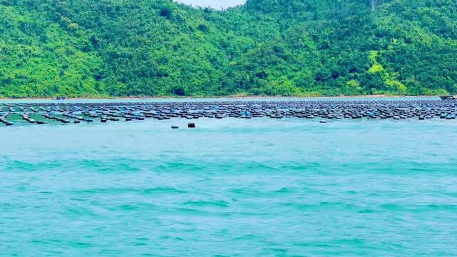 Large scale aquaculture farming area with black buoys on the water in Bai Tu Long Bay. Long rows of black buoys stretching across the sea surface where fishermen raise oysters or other seafood