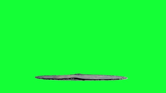 Liquid Number 5 Melting on Green Screen

3D rendering of a melting fluid number 5 deforming downward and turning into puddles on green screen.
