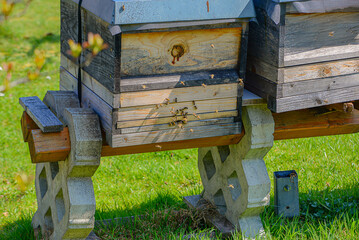 Elevated Hives Supported On Concrete In Rural Setting. Sunlit Apiary With Sturdy Support And Weathered Wooden Hives
