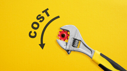 Cost Reduction Business Strategy - Expense Control, Budget Optimization, Financial Efficiency,...