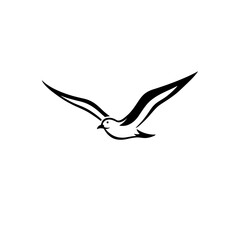 Obraz premium Albatross. Albatross simple black and white line art vector logo