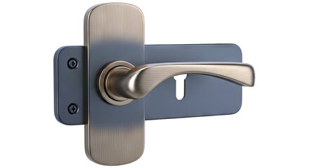 Fototapeta premium Antique Brass Door Handle with Dark Plate