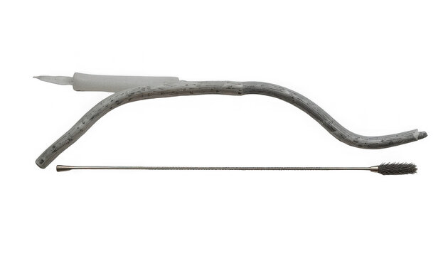 Traditional South American gourd mate drinking straw and curved bombilla straw for yerba mate preparation on transparent background