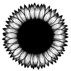 Detailed black and white engraved illustration of a beautiful sunflower head featuring a dark center and radiating petals perfect for design.