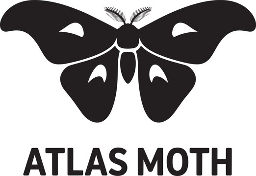 Atlas moth large insect wings patterns eyespots body antennae black silhouette vector