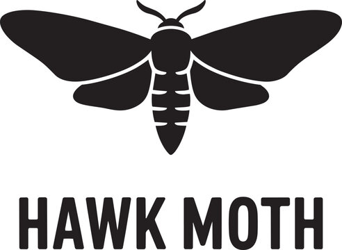 Hawk moth insect butterfly creature wings body antennae black silhouette vector illustration
