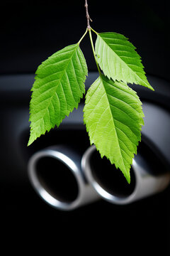 car exhaust, combustion engine, leafs, green car, co2 free, clean
