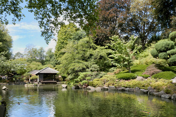 Obraz premium Japanischer Garten (Japanese Garden) during a summer season in Kaiserslautern, Germany