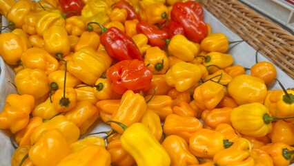 red and yellow bell peppers