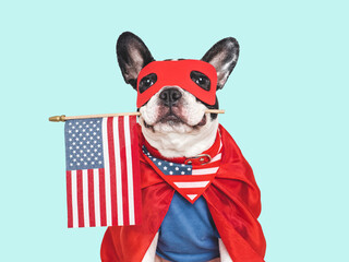 Charming French Bulldog in red mask and superhero costume with stars and stripes cape pattern. Beautiful greeting card. Patriotic pet portrait for July 4th. Studio shot, isolated background
