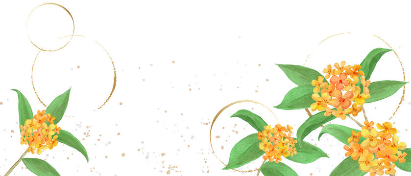 Watercolor orange osmanthus flowers with golden circles-300dpi-	