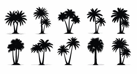 Obraz premium Collection of Palm Tree Silhouettes tropical nature