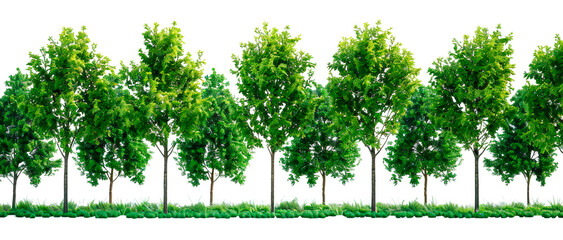 Obraz premium Row of green trees on a grass patch isolated on transparent background for various uses