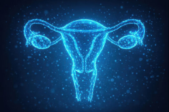 Uterus ovary anatomy gynecology fertility reproductive system healthcare medical technology glowing blue polygon wireframe reproductive organ on dark digital background health concept