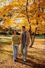 Fototapeta premium Couple enjoying a romantic walk under golden autumn leaves in a serene park setting