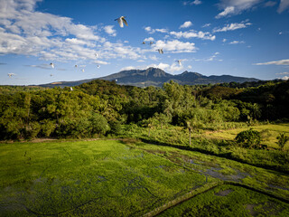 landscape with green hills and blue sky