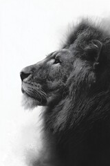 Obraz premium Lion head profile embodying strength and leadership vision. Majestic lion head looking up in a monochrome minimalist style created with soft edges