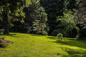 Obraz premium Clitheroe, Lancashire, England.